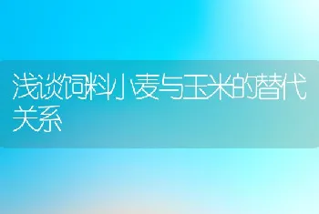 浅谈饲料小麦与玉米的替代关系