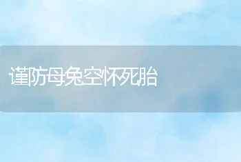 谨防母兔空怀死胎