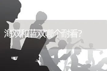 海双和蓝双哪个耐看？