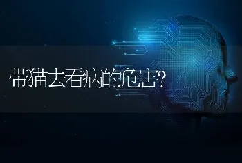 适合新手饲养的水龟有哪些？