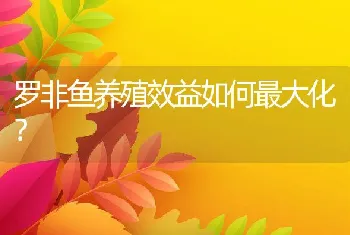 罗非鱼养殖效益如何最大化？