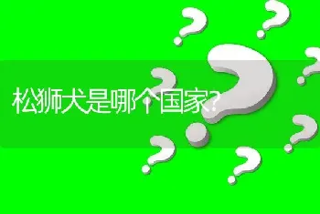 松狮犬是哪个国家？