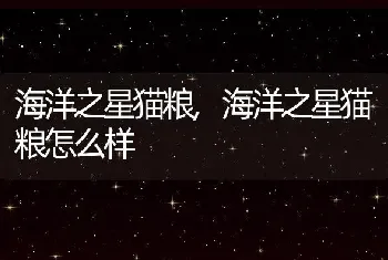 海洋之星猫粮，海洋之星猫粮怎么样