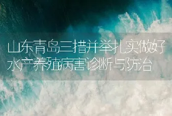 山东青岛三措并举扎实做好水产养殖病害诊断与防治