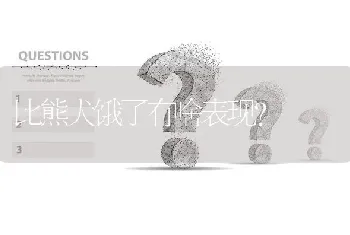 博美和银狐这两种狗哪个贵一点啊，相同纯度下？