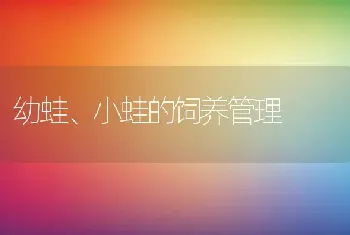 孔雀要怎么养？怎么让孔雀开屏