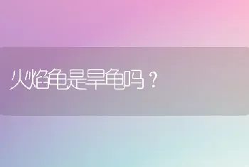 纯种拉布拉多犬什么颜色好？