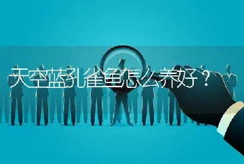 天空蓝孔雀鱼怎么养好？