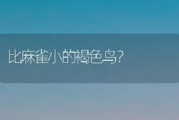 比麻雀小的褐色鸟？