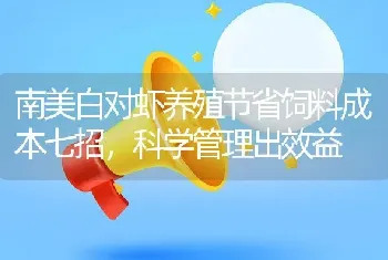 南美白对虾养殖节省饲料成本七招，科学管理出效益