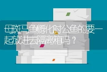 依米须鱼又叫什么鱼，怎么做好吃？