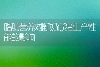 脂肪营养对断奶仔猪生产性能的影响