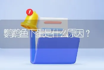 鹦鹉鱼下蛋是什么原因？