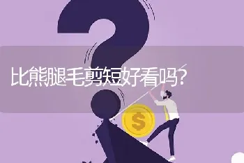 比熊腿毛剪短好看吗？