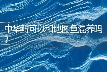 中华鲟可以和地图鱼混养吗？