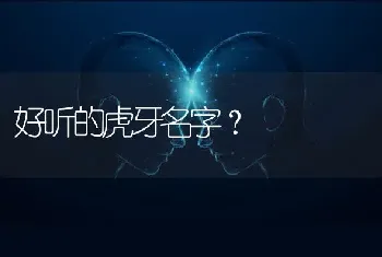 好听的虎牙名字？