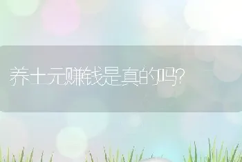 养土元赚钱是真的吗？