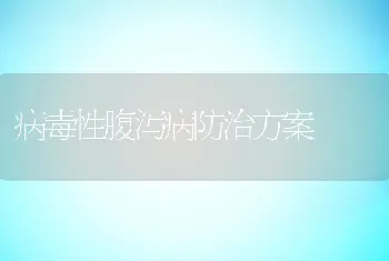 浅谈绿色獭兔养殖技术