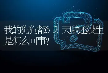 我的狗狗都62天啦还没生是怎么回事？