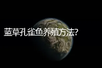 蓝草孔雀鱼养殖方法？