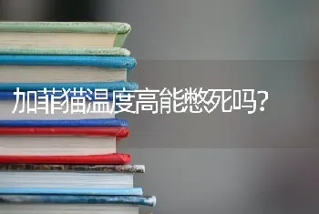 金毛吃什么水果好？