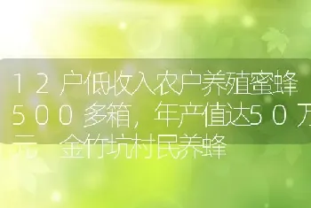 12户低收入农户养殖蜜蜂500多箱，年产值达50万元 金竹坑村民养蜂