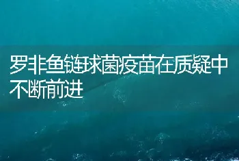 罗非鱼链球菌疫苗在质疑中不断前进