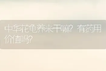 昨天刚买的古牧，回来之后发现很瘦很瘦？