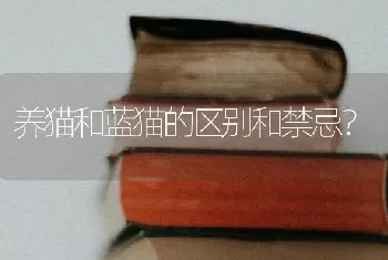 金毛和萨摩哪个体型大？