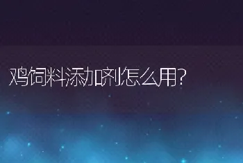 鸡饲料添加剂怎么用？