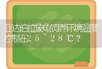 亚达伯拉象龟饲养环境温度控制在25~28℃？