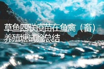 草鱼四联疫苗在鱼禽（畜）养殖塘试验总结