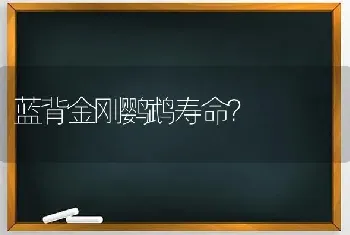 蓝背金刚鹦鹉寿命？