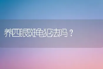 养四眼斑龟犯法吗？