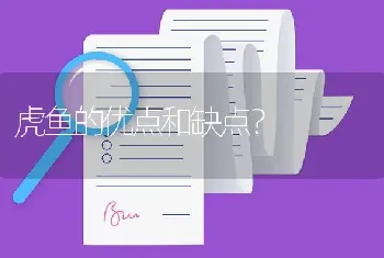 虎鱼的优点和缺点？