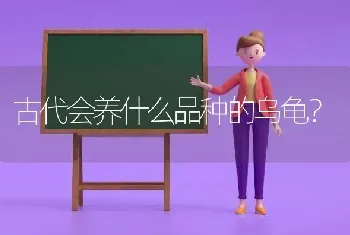 与水果有关的猫名字？