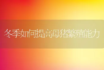 提高草鱼种成活率的办法