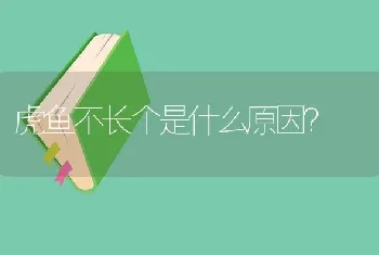 虎鱼不长个是什么原因？