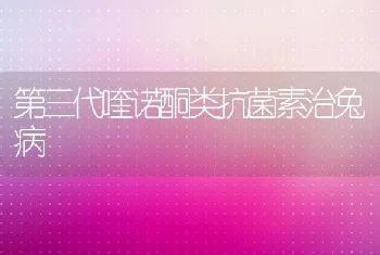 第三代喹诺酮类抗菌素治兔病