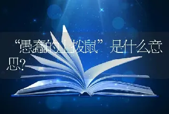 “愚蠢的土拨鼠”是什么意思？