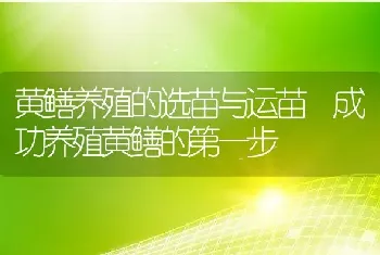 黄鳝养殖的选苗与运苗 成功养殖黄鳝的第一步