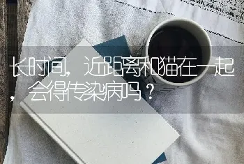 长时间，近距离和猫在一起，会得传染病吗？