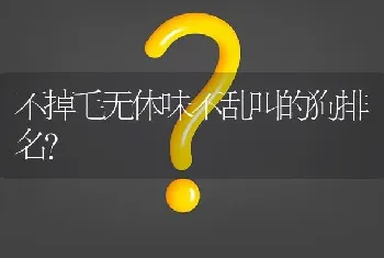 不掉毛无体味不乱叫的狗排名？