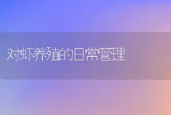 对虾养殖的日常管理