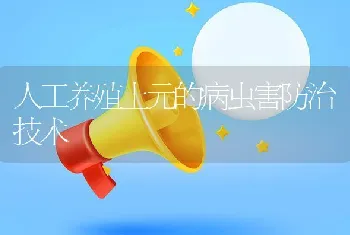 人工养殖土元的病虫害防治技术