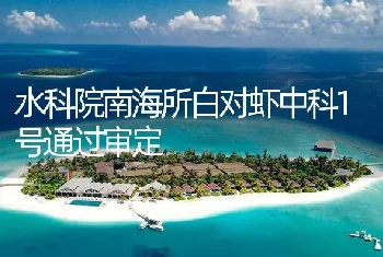 水科院南海所白对虾中科1号通过审定