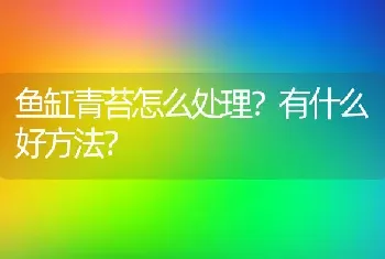 鱼缸青苔怎么处理？有什么好方法？