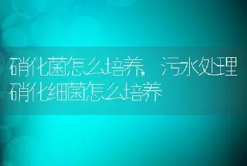 硝化菌怎么培养，污水处理硝化细菌怎么培养