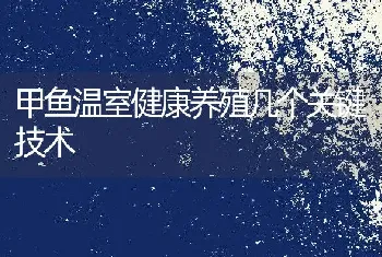 甲鱼温室健康养殖几个关键技术