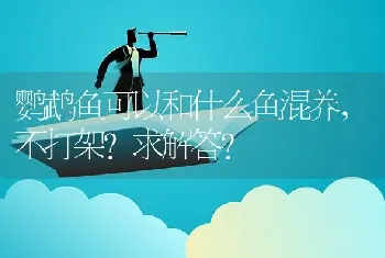 鹦鹉鱼可以和什么鱼混养，不打架？求解答？